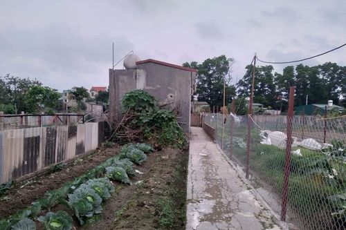 Hé lộ nguyên nhân chồng sát hại vợ và con gái rồi tự tử ở Hà Nội