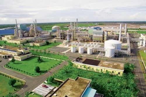 Phân bón Cà Mau cần phải phát triển để trường tồn