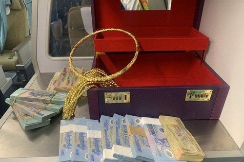 Nữ hành khách bỏ quên hơn 300 triệu và vòng vàng trên máy bay