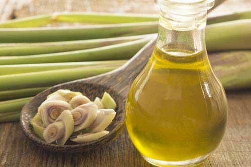 Hiệu quả không ngờ của các loại tinh dầu trong hỗ trợ giảm cân