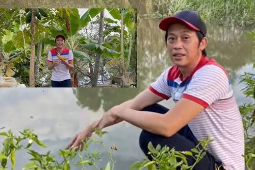 Nghệ sĩ Hoài Linh review từng cây ở vườn nhà thờ Tổ, trong đó có cây lên đến 7 tỷ đồng