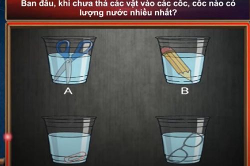 Câu hỏi trong Đường lên đỉnh Olympia tưởng khó nhưng hóa ra lại dễ vô cùng