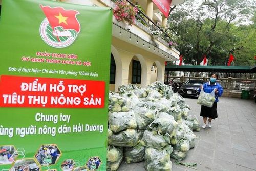 Làm gì để chủ động giải cứu nông sản: Chuyện từ Đài Loan
