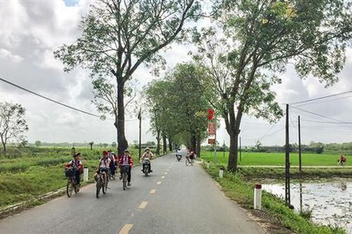 Về vùng đất lúa Hải Thượng