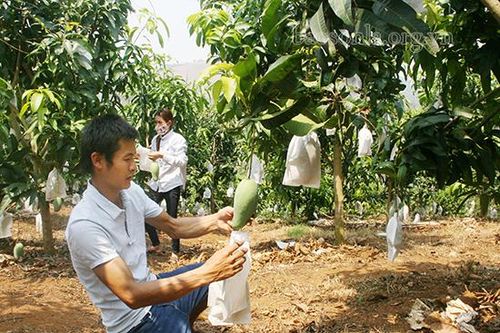 'Chìa khóa' xây dựng lòng tin về uy tín, chất lượng nông sản