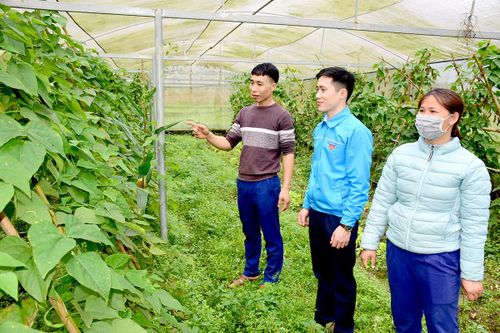 Giải quyết việc làm cho bộ đội xuất ngũ