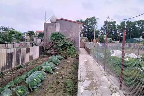 Chồng sát hại vợ và con gái 7 tuổi ở Hà Nội: Lộ nguyên nhân gây án