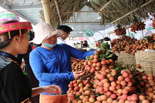 Sản phẩm đầu tiên của Việt Nam được bảo hộ chỉ dẫn địa lý tại Nhật