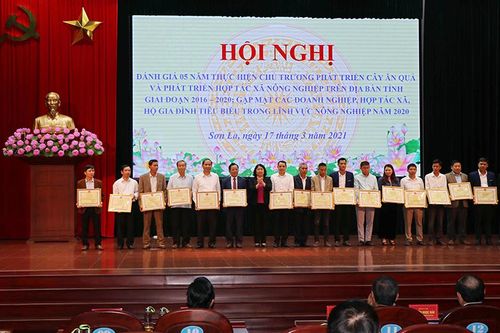 Sơn La: Dấu ấn sau năm năm thực hiện chủ trương phát triển cây ăn quả