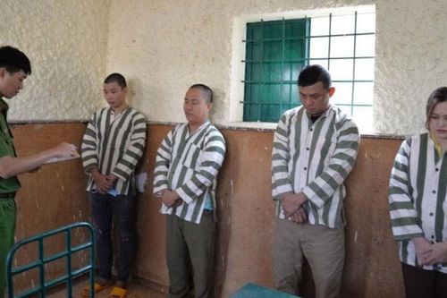 Gia Lai: Khởi tố băng nhóm dùng thiết bị điện tử để 'ăn gian' khối lượng lớn cà phê