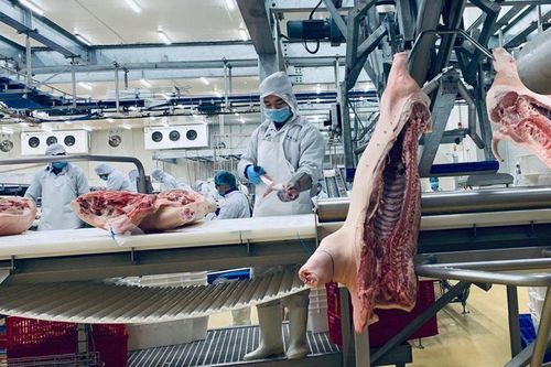 Chuyển động ngầm thị trường 10 tỷ USD, đại gia Việt những toan tính lớn