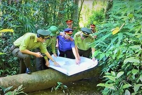 Màu áo thiên thanh giữa đại ngàn