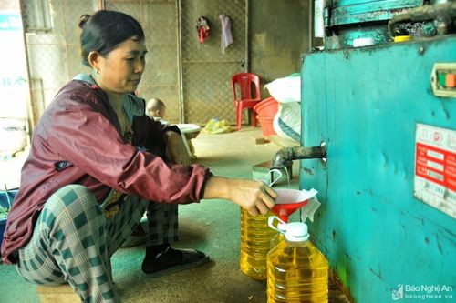 Lo sợ dầu ăn bẩn trên thị trường, người dân Nghệ An đổ xô đi ép dầu về dùng