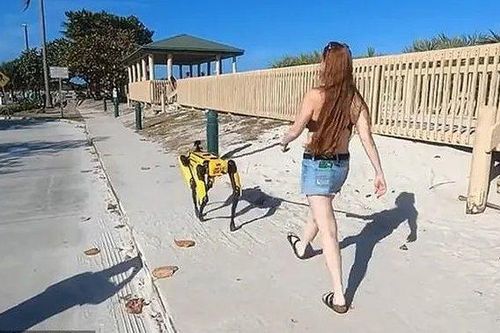 Người đi đường thích thú với chú chó cưng giá 1,7 tỷ đồng