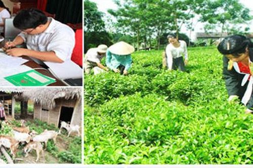 Từ năm 2020: Thu nhập dưới 2 triệu đồng/người/tháng là hộ nghèo