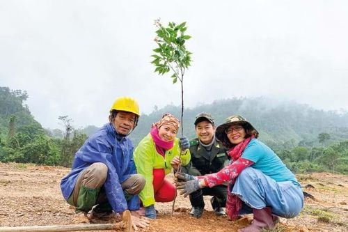 Đỗ Thị Thanh Huyền: Câu chuyện trồng rừng và truyền cảm hứng kết nối