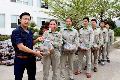 Hiệu ứng từ bài báo 'Xúc tiến tiêu thụ cam sành Hàm Yên'