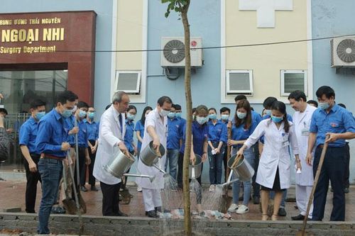 Hưởng ứng Chương trình trồng 1 tỷ cây xanh