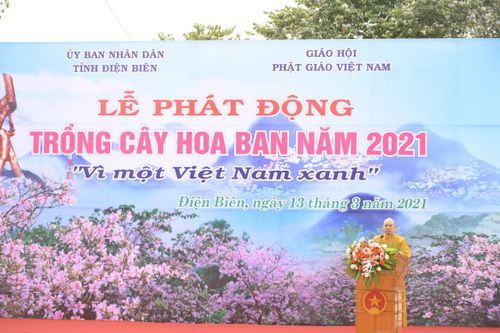 Ban Trị sự Phật giáo Điện Biên phát động trồng 10.000 cây hoa ban