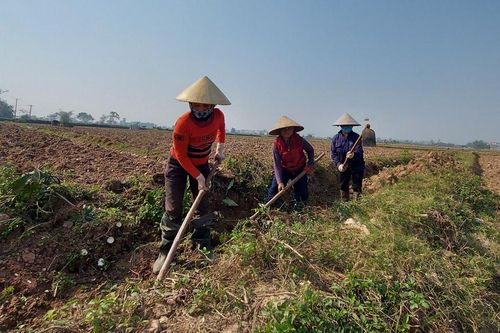 Nâng cao hiệu quả cung cấp dịch vụ thủy lợi