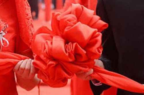 Tuyển rể tặng nhà, ôtô và sinh hoạt phí mỗi tháng