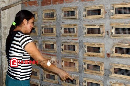 Cú phản chủ của rắn hổ mang khiến vợ trẻ mất chồng, 2 con mất cha