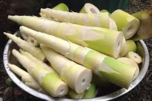 Cách chọn măng tươi ngon, ăn thơm ngọt không ngâm hóa chất