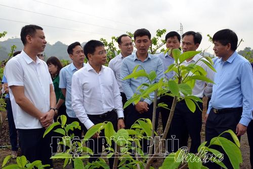 Lãnh đạo 2 tỉnh Điện Biên và Sơn La trao đổi kinh nghiệm phát triển sản xuất nông – lâm nghiệp