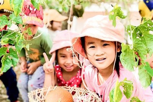 Nâng cao chất lượng bữa ăn cho trẻ mầm non