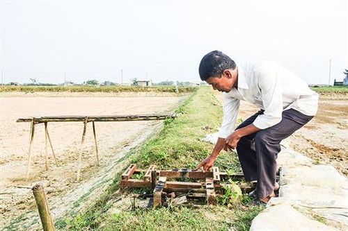 Trộm hoành hành vùng nuôi tôm ở phường Đông Giang