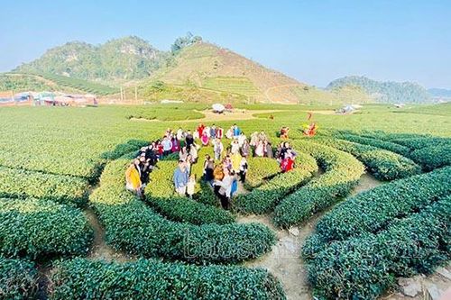 Phát động cuộc thi 'Sáng tác tiêu đề - biểu tượng du lịch Mộc Châu' năm 2021