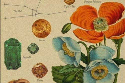 Lắng nghe thông điệp từ vũ trụ, khám phá biểu tượng thú vị về các chòm sao