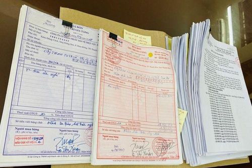 TP.HCM sẽ tổng điều tra kinh tế với quy mô lớn