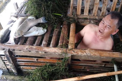 Hơn 3 tấn cá nuôi lồng chết bất thường trên sông Mã