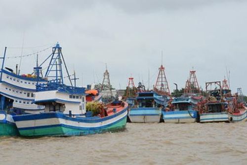 Chủ tàu cá bị phạt 1 tỷ đồng
