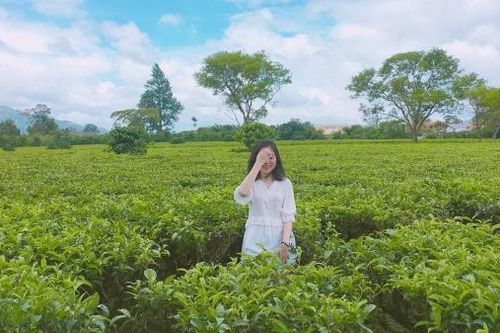 Về quê Binz checkin Biển Hồ chè