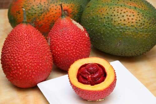 Quả gấc và những tác dụng tuyệt vời đối với sức khỏe