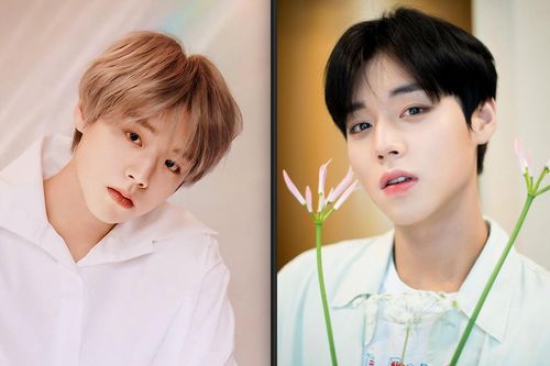 Park Ji Hoon sẽ xuất hiện với tư cách là người dẫn chương trình đặc biệt trên Show! Music Core