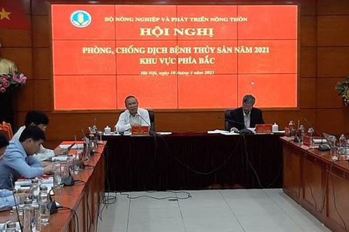 Kiểm soát điều kiện nuôi trồng để đảm bảo chất lượng, an toàn thực phẩm thủy sản