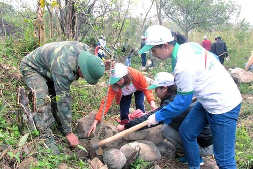 Tháng Thanh niên năm 2021: Tuổi trẻ xung kích vì cộng đồng