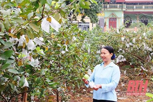 Xã Thành Tâm phát huy vai trò tiền phong, gương mẫu của cán bộ, đảng viên