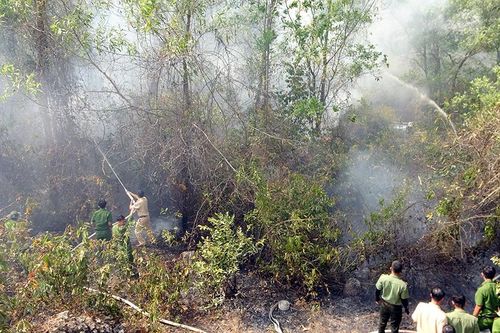 Gần 120 người tham gia chữa cháy rừng ở Núi Tô