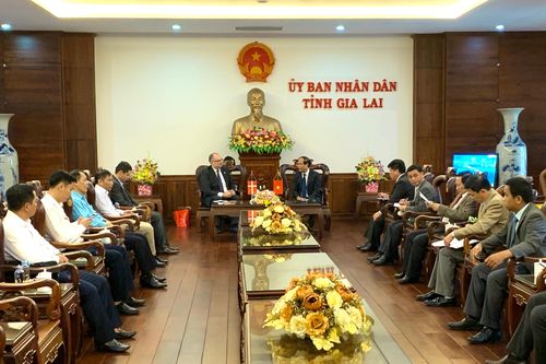 Đại sứ Đan Mạch đề nghị hỗ trợ đưa cụm dự án điện gió vào quy hoạch