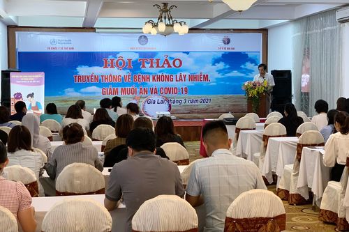 Hội thảo truyền thông về bệnh không lây nhiễm, giảm ăn muối và Covid-19