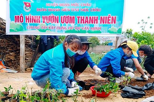 Xung kích, sáng tạo làm đẹp hơn diện mạo quê hương
