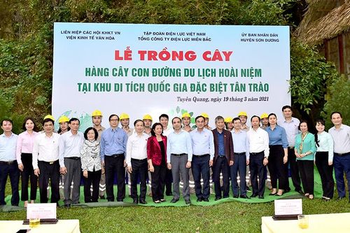 Xây dựng 'Hàng cây con đường du lịch hoài niệm' tại Tân Trào