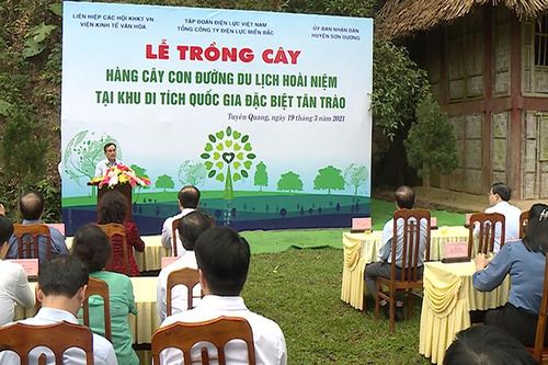 Xây dựng 'Hàng cây con đường du lịch hoài niệm' tại Tân Trào