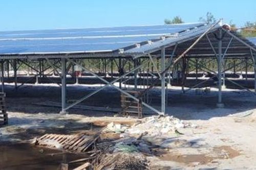 Tăng cường quản lý dự án xây dựng trang trại kết hợp điện mặt trời
