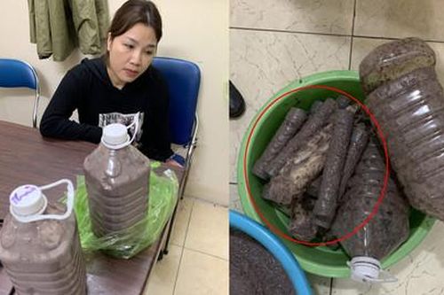 Nguyên giảng viên đại học tham gia đường dây mua bán ma túy