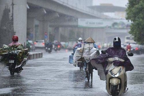 Cuối tuần miền Bắc chuyển mưa rét, có nơi dưới 15 độ C